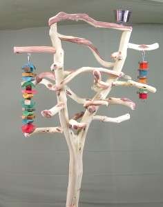 Sandblasted Manzanita Parrot Tree Bird Stand Toy Gym L3  