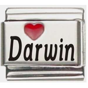  Darwin Red Heart Laser Name Italian Charm Link Jewelry