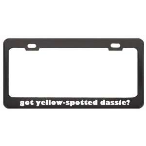 Got Yellow Spotted Dassie? Animals Pets Black Metal License Plate 