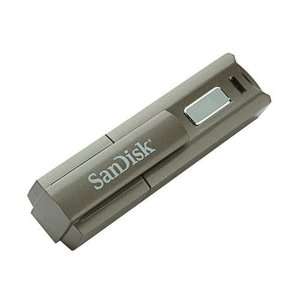  SanDisk 4GB Cruzer Professional USB Flash Drive: Computers 