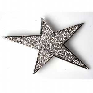   Sterling Silver Dazzling Embellished Star Fashion CZ Pendant Jewelry