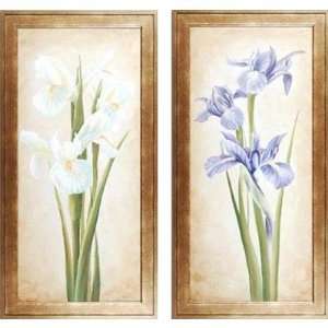   Vanguard Poetic Iris Series Poetic Iris by Unknown: Home & Kitchen