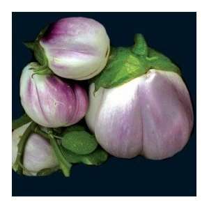  Rosa Bianca Eggplant Seeds