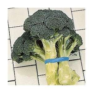  Green Goliath Broccoli Seed Packet