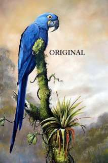 Tropical Hyacinth Macaw Cross Stitch Pattern Endangered Birds TBB 