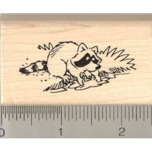  Raccoon Washing Food Rubber Stamp Arts, Crafts & Sewing