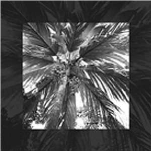  WeatherPrint 18032 Palms Paradise I Outdoor Art   Beaumont 