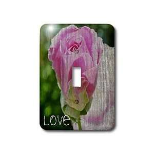 Patricia Sanders Flowers   Love A Perfect Rose Flowers Romance   Light 