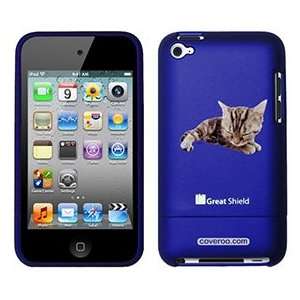  Short Hair Kitten on iPod Touch 4g Greatshield Case 