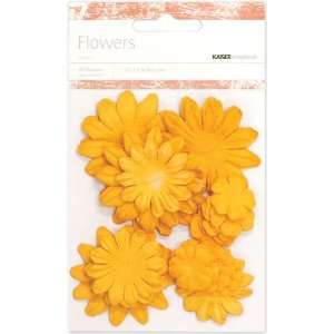  Kumquat Paper Flowers Arts, Crafts & Sewing