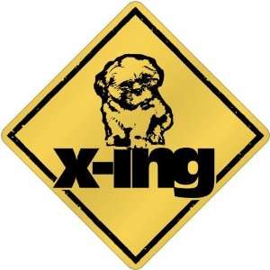    New  Lhasa Apso X Ing / Xing  Crossing Dog: Home & Kitchen