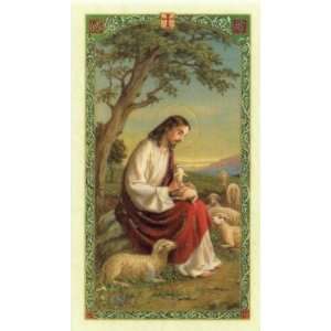  Act of Contrition Laminated Prayer Card: Office Products