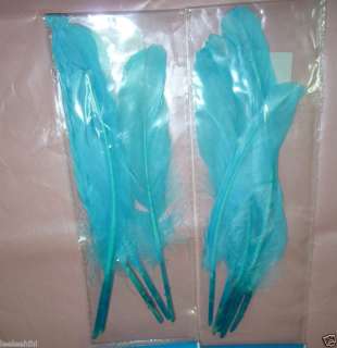 2packs x DUCK QUILLS / QUILL FEATHERS (BLUE)  