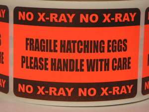 HATCHING EGGS FRAGILE NO X RAY Sticker Label  