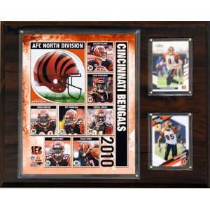  NFL Cincinnati Bengals 2010 Team Plaque: Sports & Outdoors