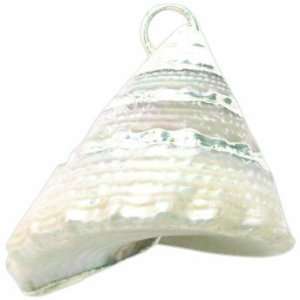  Shipwreck Beads Pearly Cone Shell Pendants, 30mm Average 