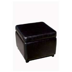  Twin Tate Storage Ottoman by Wholesale Interiors