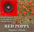 RED POPPY BLOOMER ~ Papaver rhoeas Flower Seeds BULK ~~