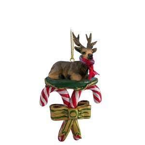  Elk Bull Candy Cane Christmas Ornament: Home & Kitchen
