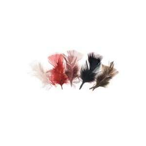    All Purpose Assorted Craft Feathers   Natural 14g