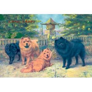   Champion Chow Chows 12X18 Art Paper with Black Frame
