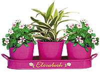 Personalized Brightly Colored Tin Planters  