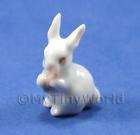 cute sitting white rabbit dolls house miniature ceramic location 