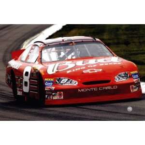   : Dale Earnhardt Jr.   Budweiser Car on Track , 30x20: Home & Kitchen
