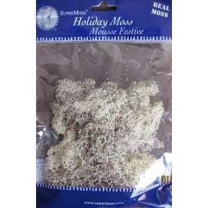   Moss Pack of Real Glittered Reindeer Moss Arts, Crafts & Sewing