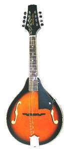 PRO Mandolin String Acoustic Guitar Fiddle A Style Frame Music Glen 