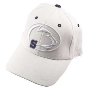Penn State Nittany Lions White Emerge 1Fit Hat:  Sports 