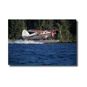   Bush Plane Iii Red Lake Ontario Canada Giclee Print