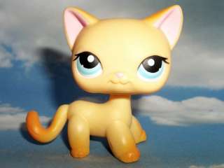 Littlest Pet Shop Cat #339 Raceabout Ranch LPS Orange Short Hair 