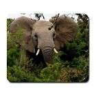 Elephant Painting Mouse pad / Mouse matt   Large Brand New