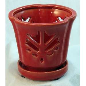  Maple Leaf Orchid Pot/Saucer 5 x 5 1/8   Royal Red 