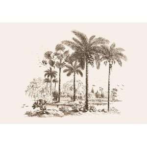  Palm Trees 24x36 Giclee: Home & Kitchen