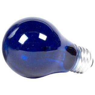 Philips Lighting 25 Watt Blue Transparent Party Light Bulb 144204 