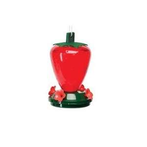  3 PACK STRAWBERRY FEEDER, Color: RED/GREEN: Office 