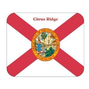   US State Flag   Citrus Ridge, Florida (FL) Mouse Pad 