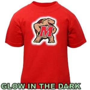  UM Terps Tshirt : Maryland Terrapins Infant Glowgo T Shirt 