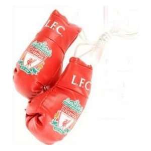 Liverpool Fc Football Car Mirror Boxing Gloves Official Decoration 