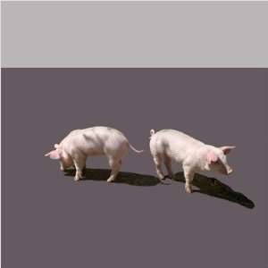   Piglets Limited Edition Wall Art Panel in Grey