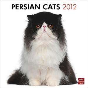  2012 Persian Cats Calendar