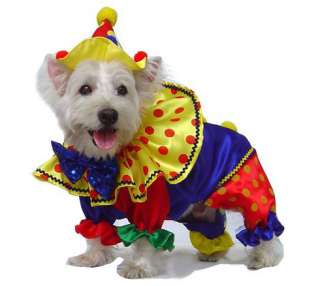 Shiny Clown Dog Costume   Great for Halloween   