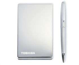 Toshiba StorE Steel PA4149E 1HC2 320 GB externe Festplatte (6,4 cm (2 