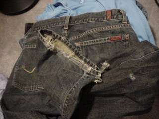 Seven 7 for all mankind Jeans mens 31 W 34 L 31x34  