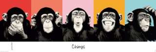 Für The Chimp   pop haben wir passende Rahmen im Angebot