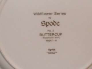 SPODE WILD FLOWER SERIES BUTTERCUP   CABINET PLATE  