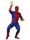 Adult Spiderman Costume