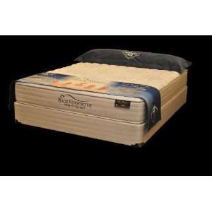   Air Back Supporter MAX King Size Sizesport Full Size Mattress Home